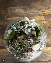 Load image into Gallery viewer, Terrarium Workshop
