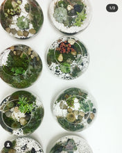 Load image into Gallery viewer, Terrarium Workshop