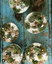 Load image into Gallery viewer, Terrarium Workshop