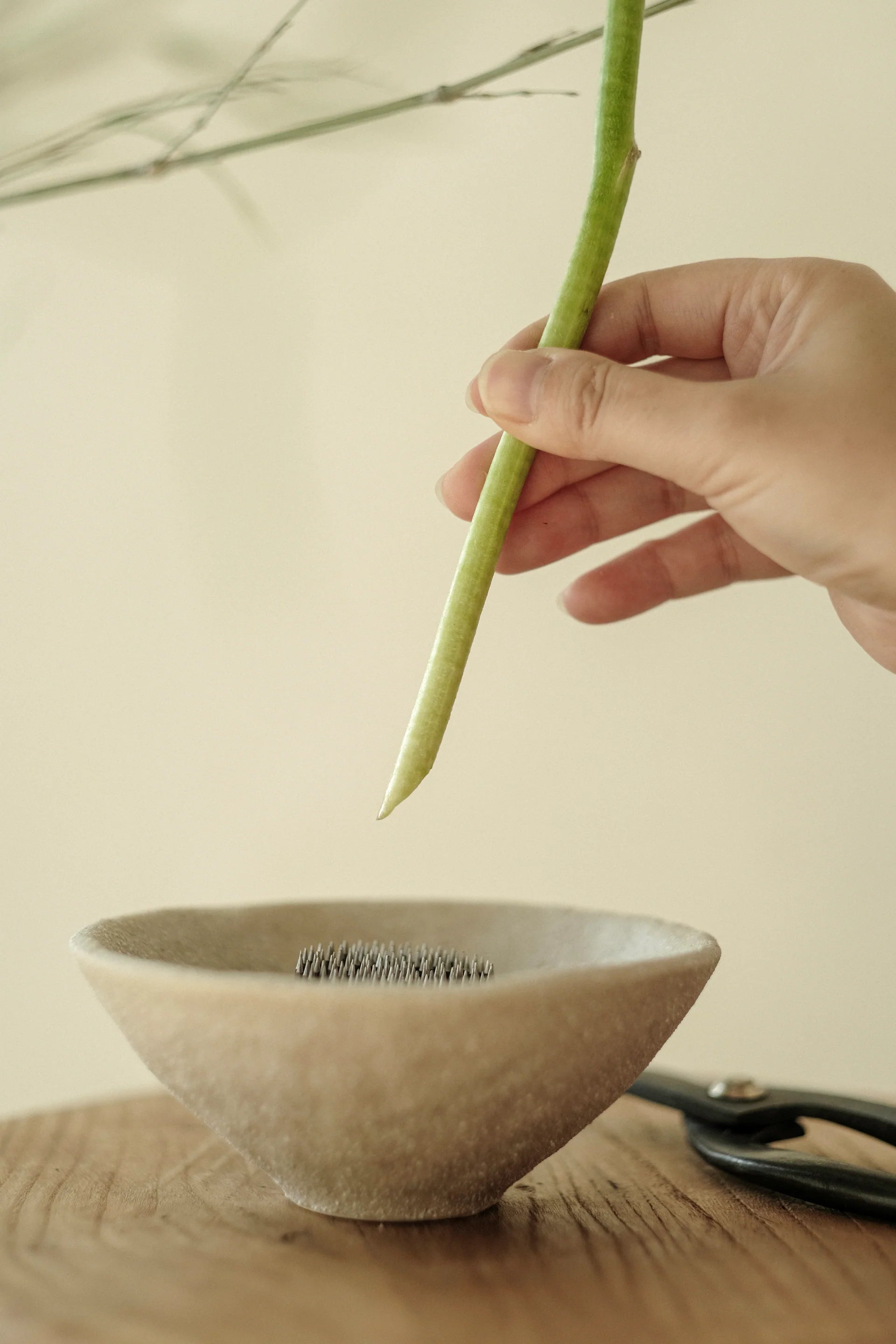 Ikebana Flower Arrangement Set